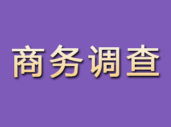 鹿寨商务调查